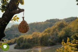 Vista dal retro della villa